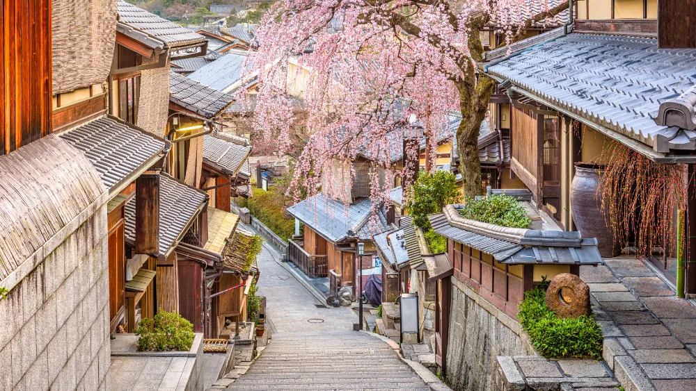 a street in Kyoto, Japan with cherry blossoms, making it a top worldwide travel destination